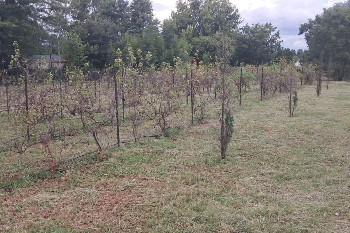 A large vacant residential plot featuring established wire fencing, metal trellises, and an existing irrigation system set within a grassy landscape.