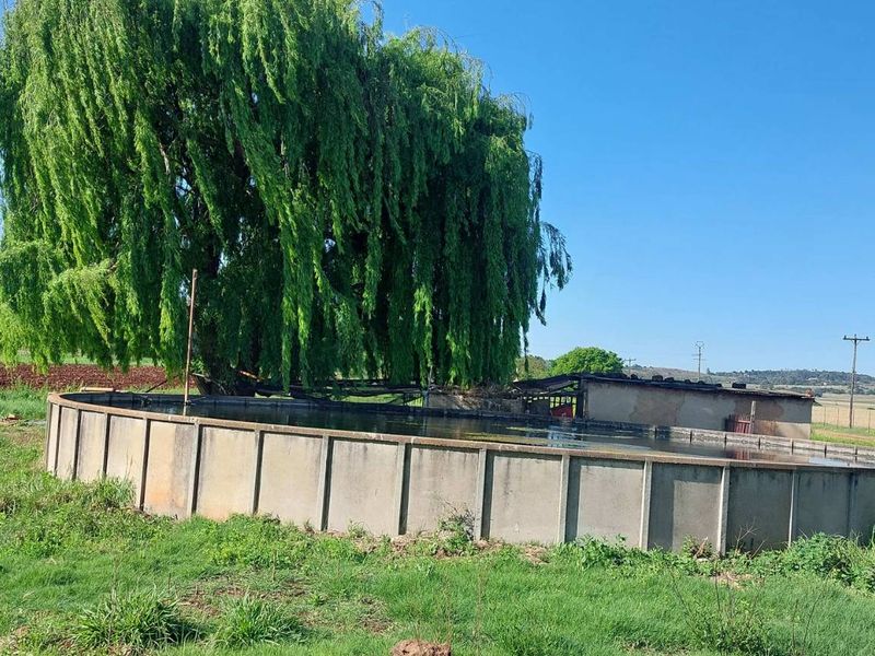 A large circular concrete water reservoir situated in a rural farm setting, featuring a prominent weeping willow tree alongside.