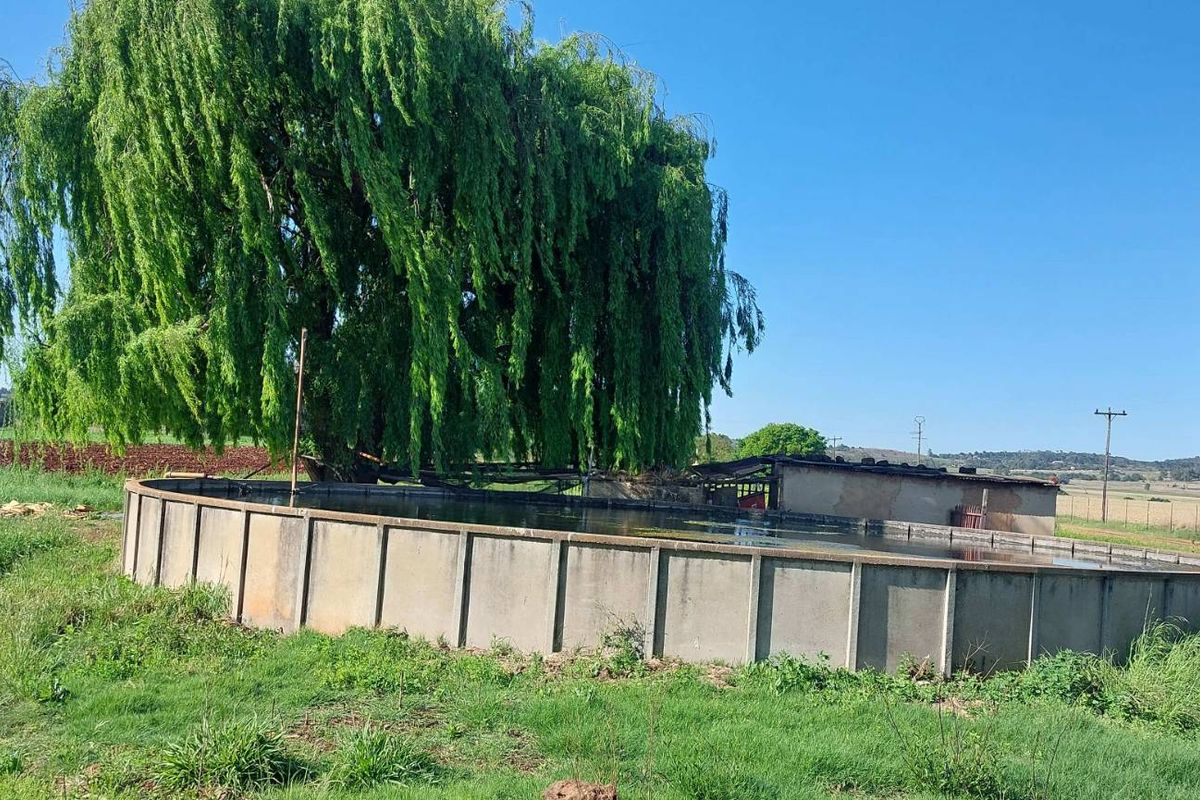 A large circular concrete water reservoir situated in a rural farm setting, featuring a prominent weeping willow tree alongside.