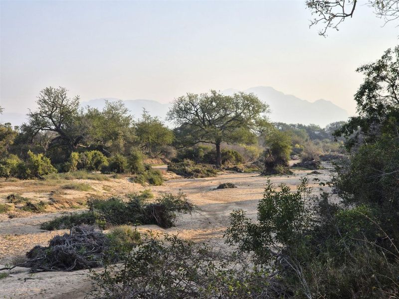 A scenic view of a dry riverbed landscape with native trees and distant mountains, showcasing the natural beauty of the surrounding estate.