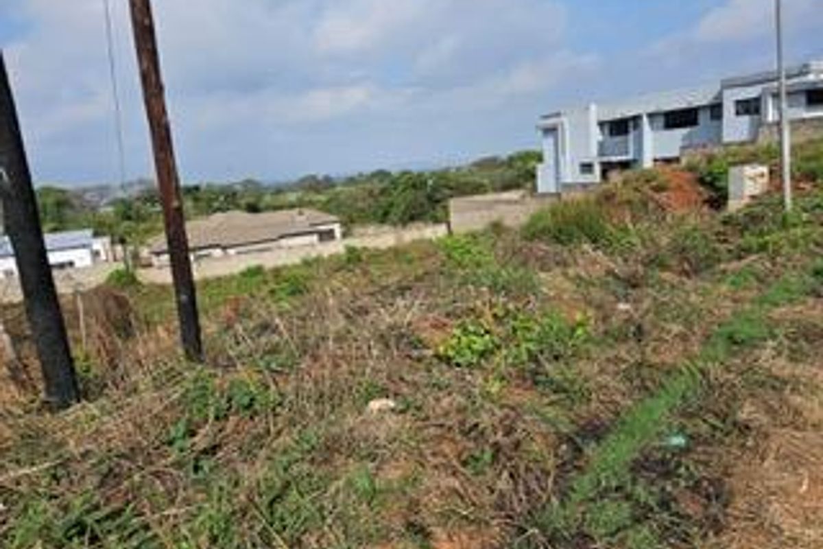 A view of a vacant residential plot featuring natural vegetation, utility poles, and surrounding neighborhood development.