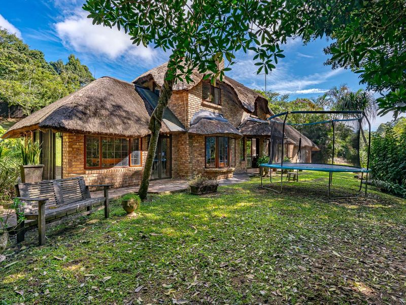 AFRICAN DREAM - Photo 2