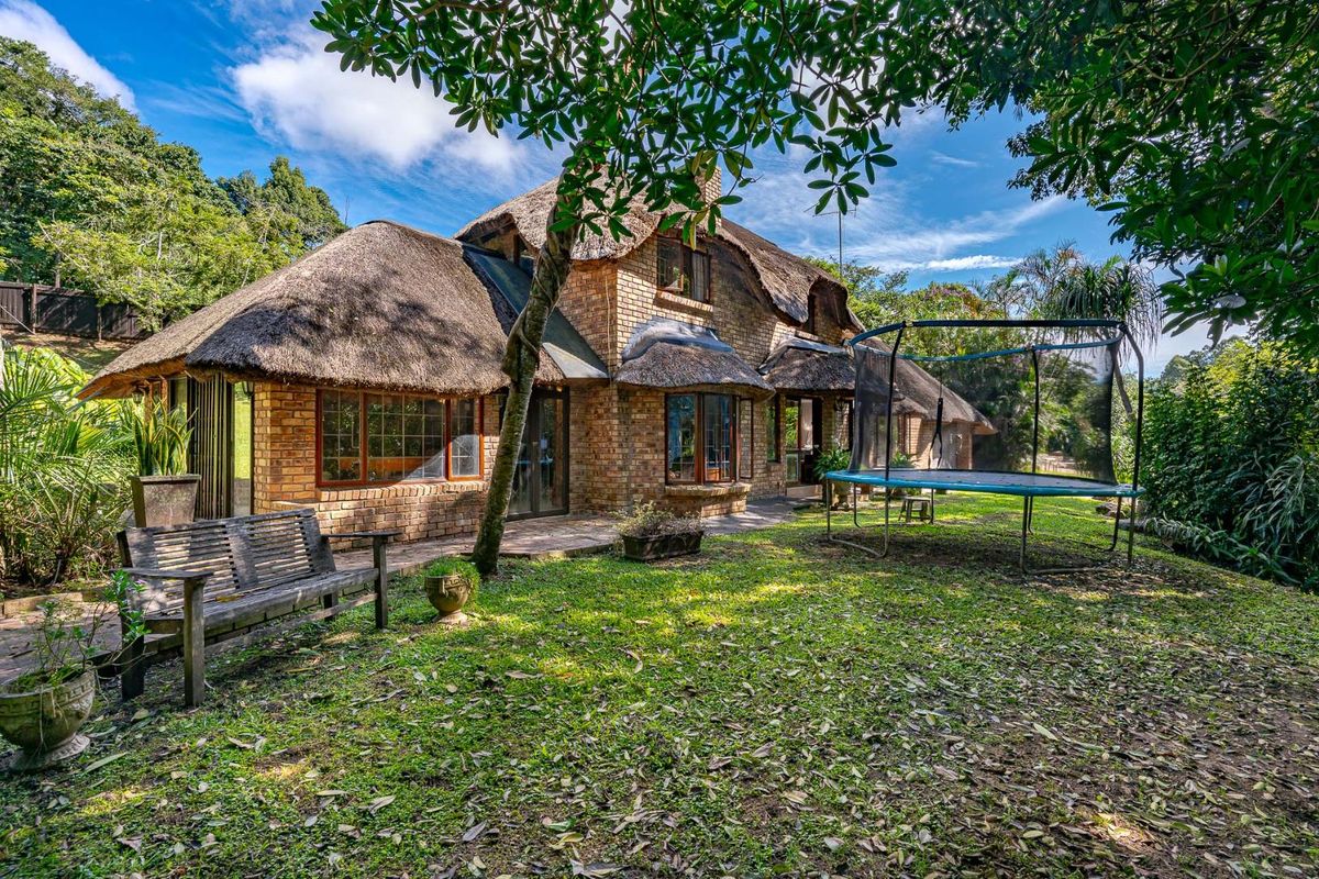 AFRICAN DREAM - Photo 2