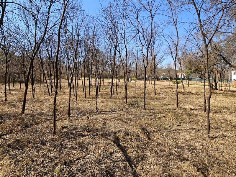 Vacant Stand in Estate d Afrique - Photo 9