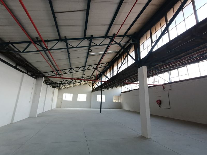 Spacious industrial warehouse unit featuring high ceilings with exposed steel trusses, large steel-framed windows for natural light, and a functional fire sprinkler system.