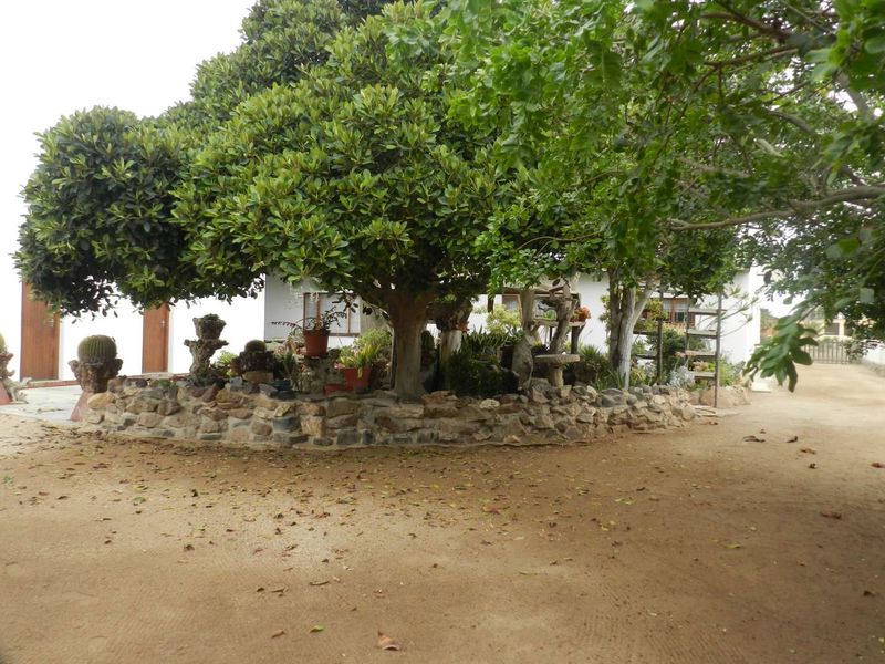 Bargain Home for sale in Henties! - Photo 5