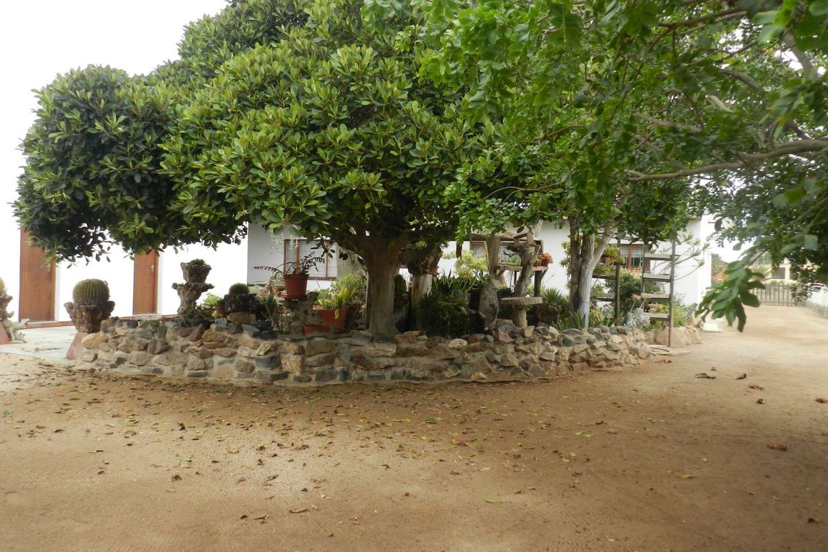 Bargain Home for sale in Henties! - Photo 5