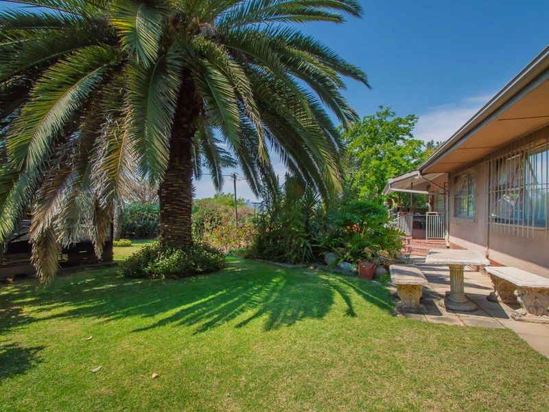 A spacious rear garden featuring a paved patio area, mature palm tree, and established landscaping adjacent to the house exterior.