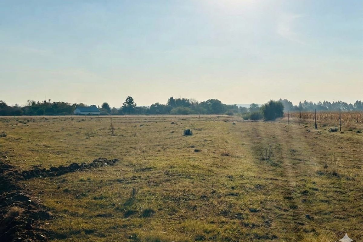 Vacant land - Photo 4
