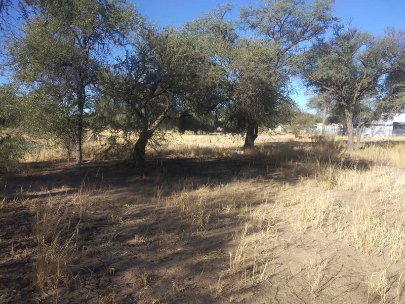 LIFESTYLE RIVER ESTATE ERF FOR SALE IN OKAHANDJA - Photo 7