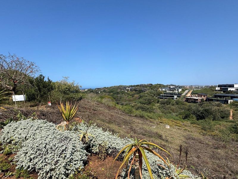 A scenic elevated view overlooking a natural landscape with indigenous vegetation and distant residential development.
