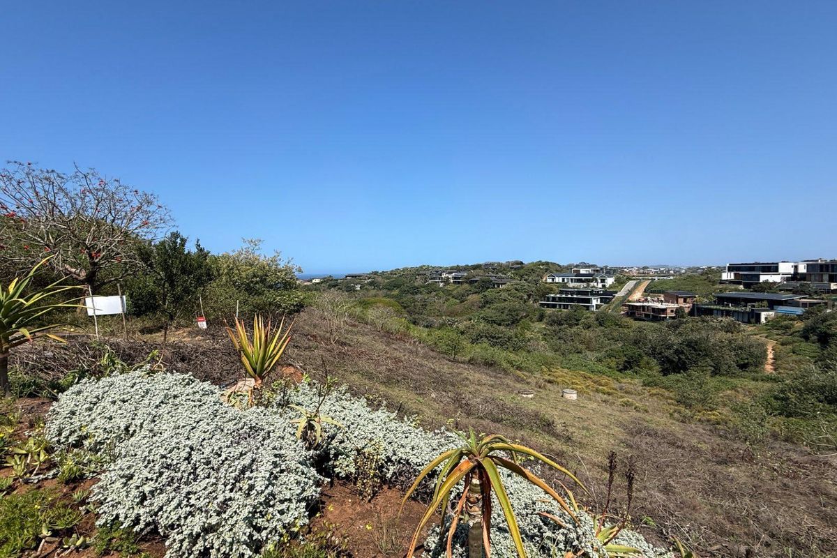 A scenic elevated view overlooking a natural landscape with indigenous vegetation and distant residential development.