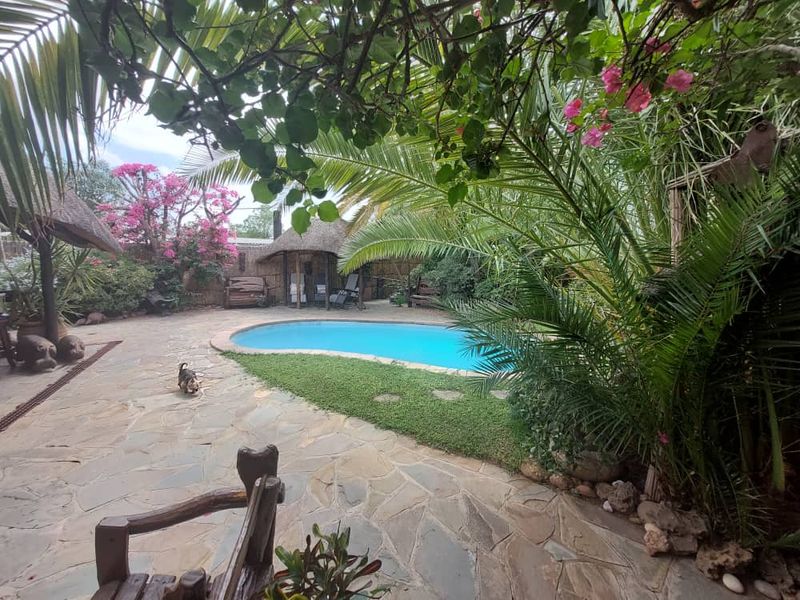 **Charming Guesthouse for Sale in Suiderhof, Windhoek** - Photo 1
