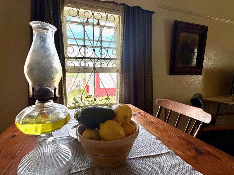 A dining area featuring a classic sash window with decorative security bars and traditional picture rail detailing.