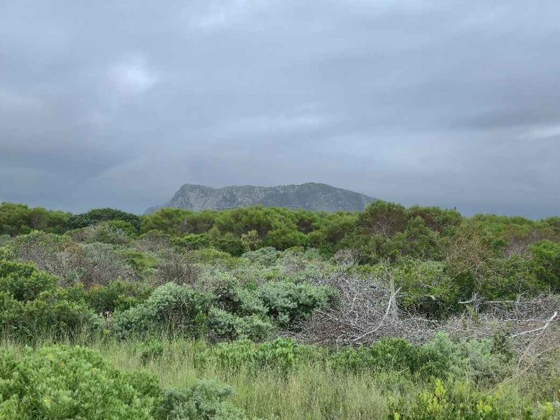Build Your Coastal Dream Home in Kleinbaai's Fast-Growing Groenberg Suburb - Photo 8