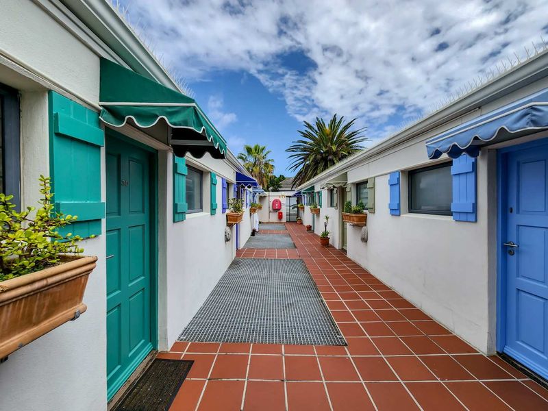 Charming Studio Apartment in Planet Africa - Photo 4