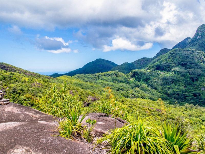 A scenic elevated view of lush green mountains and natural landscape, showcasing the expansive natural beauty of the property surroundings.