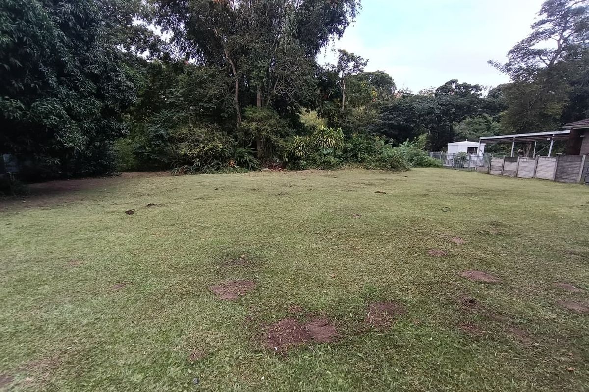 To Rent - Two Bedroom cottage |  01 June 2026 - Photo 5