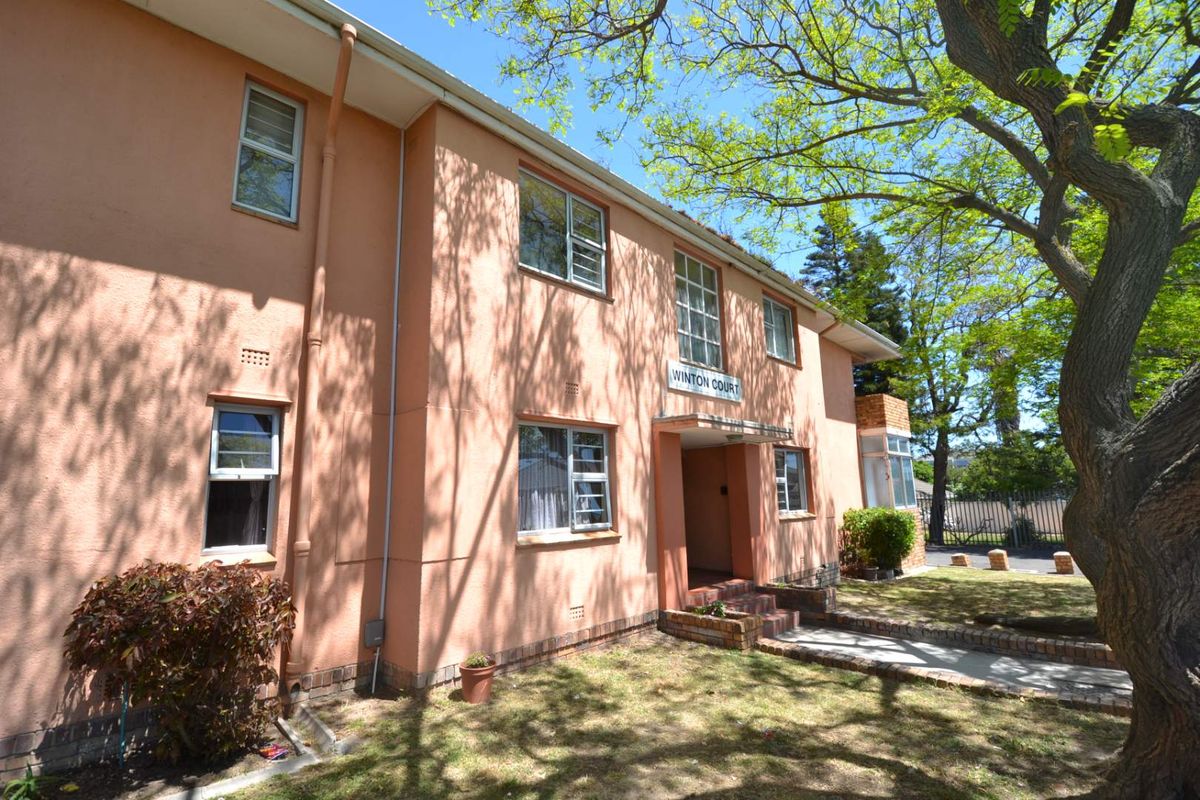 Ripe for renovation! Apartment in Rugby Neighborhood - Photo 2
