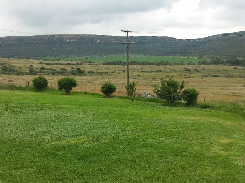 Unmatched Opportunity: Farm & Bottling Biz in One - Photo 6