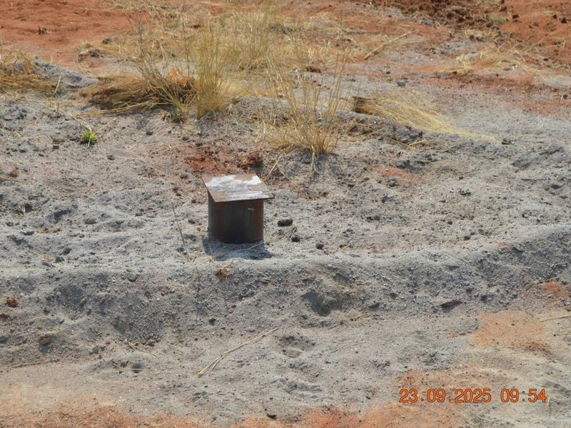 BIG PLOTS AHEAD & UP FOR SALE !! - Photo 8