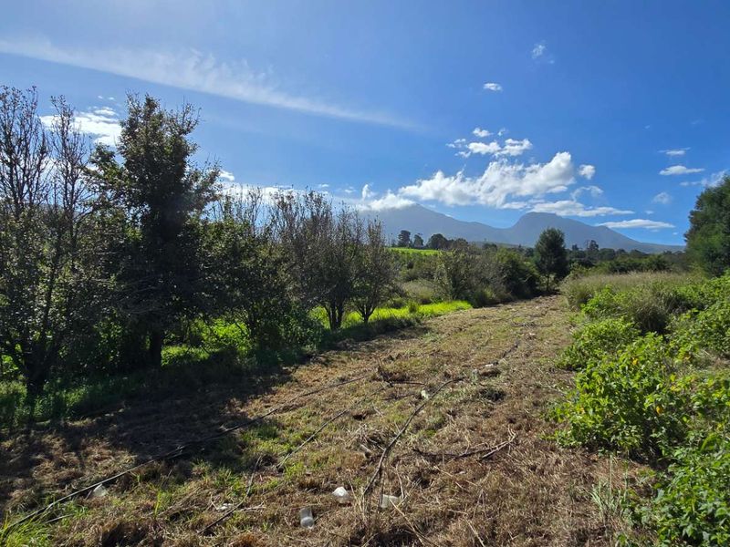 Charming Property with Scenic Views in Ruiterbosch - Photo 9