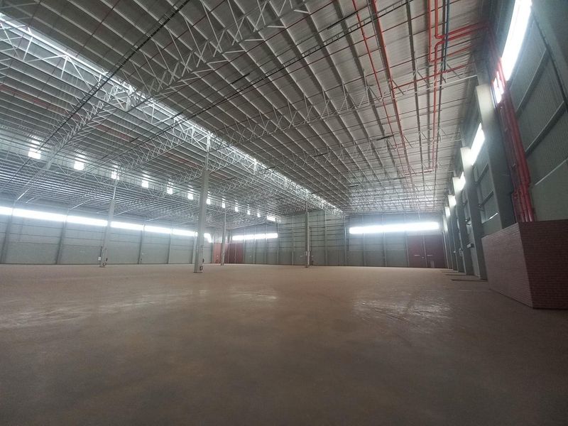 11 972m2 Louwlardia Warehouse To Let - Photo 5