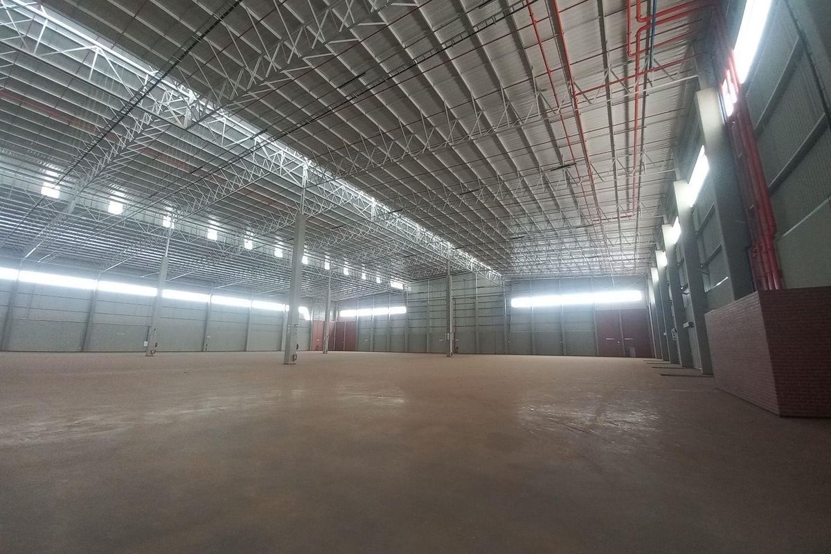 11 972m2 Louwlardia Warehouse To Let - Photo 5