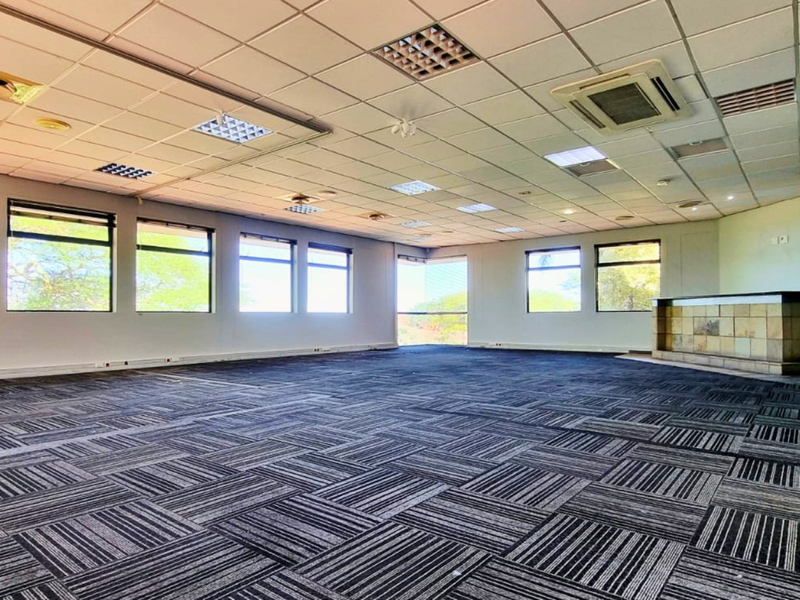 Spacious open-plan office area featuring a suspended ceiling, recessed lighting, integrated air conditioning, carpet tiles, and a built-in service counter.