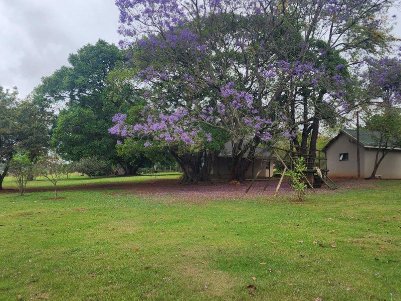 Family Smallholding for sale close to White River in a secure area - Photo 4