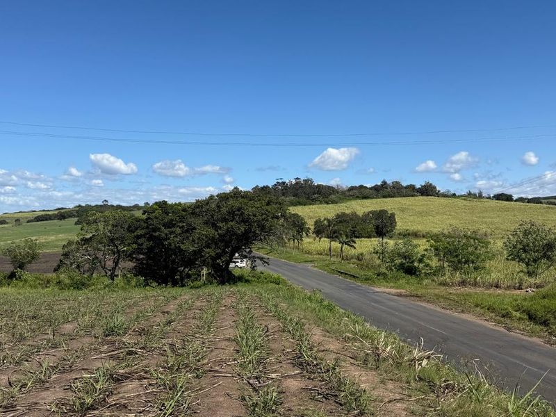 A scenic view of the farm property featuring an asphalt access road winding through expansive agricultural fields under a clear blue sky.