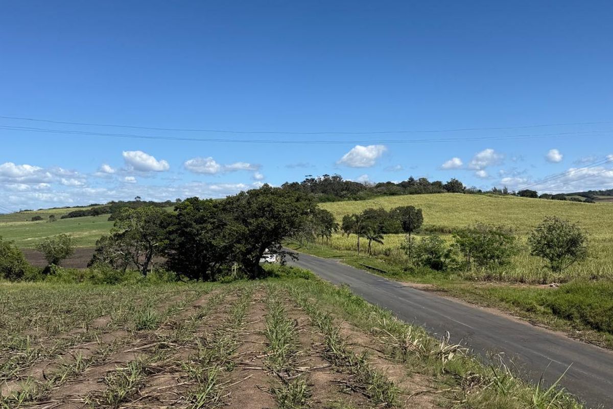 A scenic view of the farm property featuring an asphalt access road winding through expansive agricultural fields under a clear blue sky.