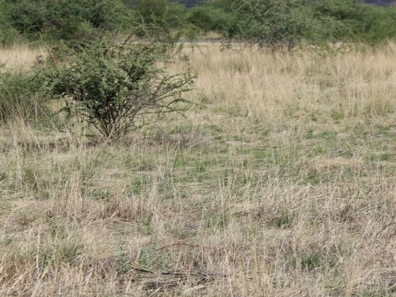 BRAKWATER - DOBRA VACANT LAND FOR SALE - Photo 2