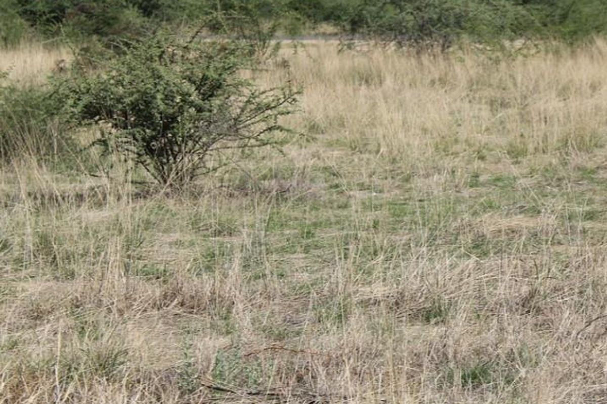 BRAKWATER - DOBRA VACANT LAND FOR SALE - Photo 2