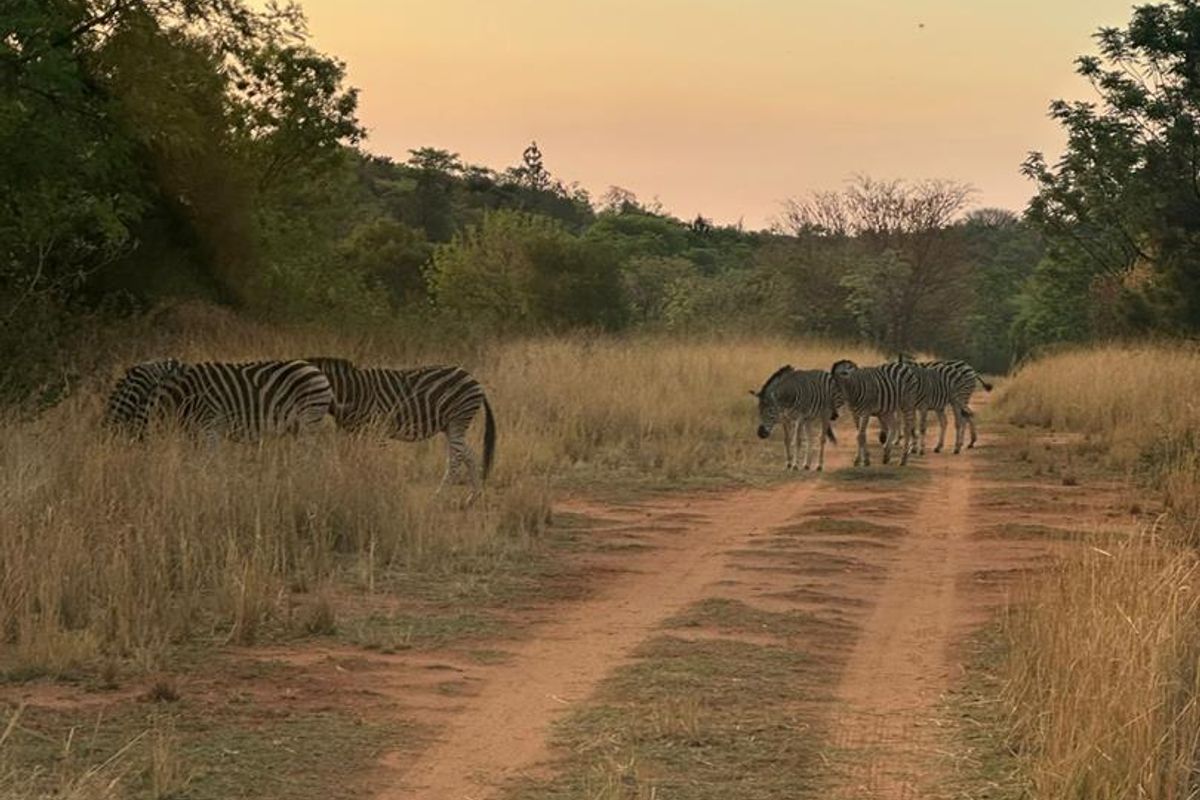 ROODEPARK ECO CITY - Photo 4