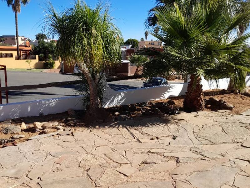 Front exterior area featuring natural flagstone paving, a low boundary wall, and established palm trees under a clear sky.