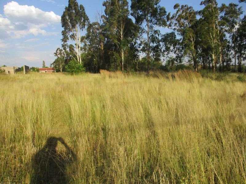 Henley Country lifestyle - Photo 2