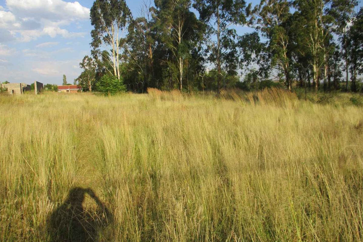 Henley Country lifestyle - Photo 2