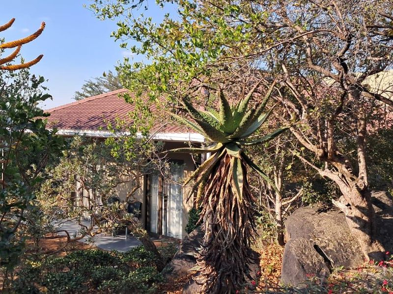 Beautiful Fully Furnished 1 Bedroom Cottage to Rent | Kampersrus - Photo 3