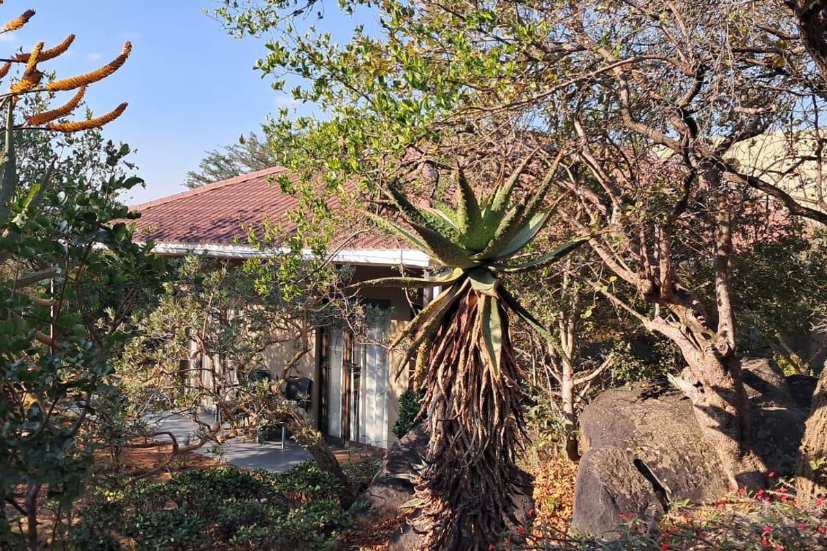 A view of the cottage exterior featuring a tiled roof, partially obscured by mature trees, indigenous aloes, and natural rock formations in the garden.