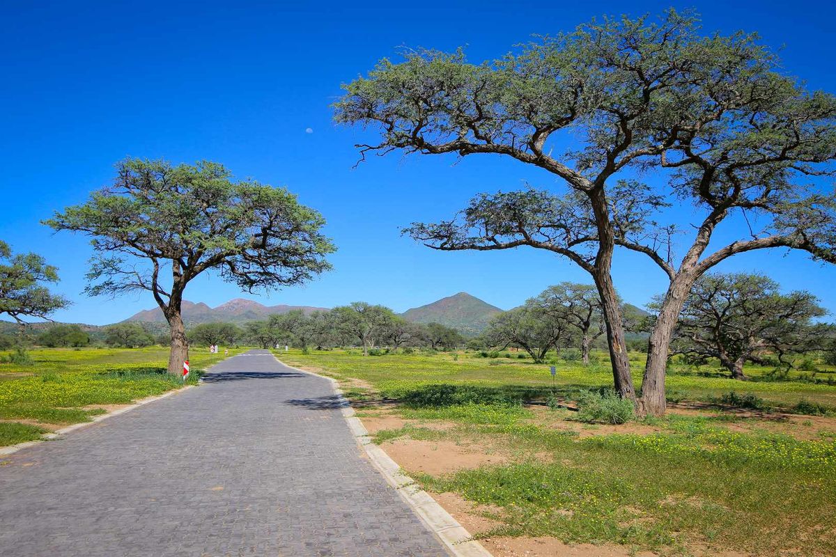 Omeya Golf & Lifestyle Estate – Phase 3 | Final Release - Photo 3