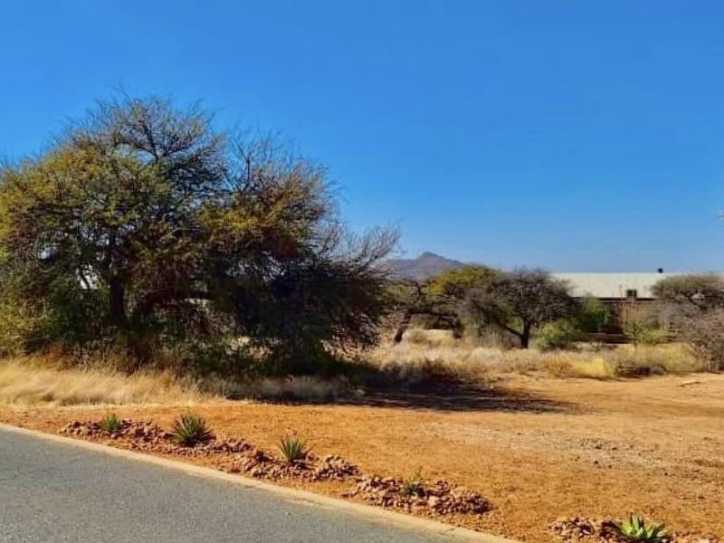 A view of the vacant residential land from the adjacent asphalt road, featuring natural vegetation and a clear view of the surrounding landscape.