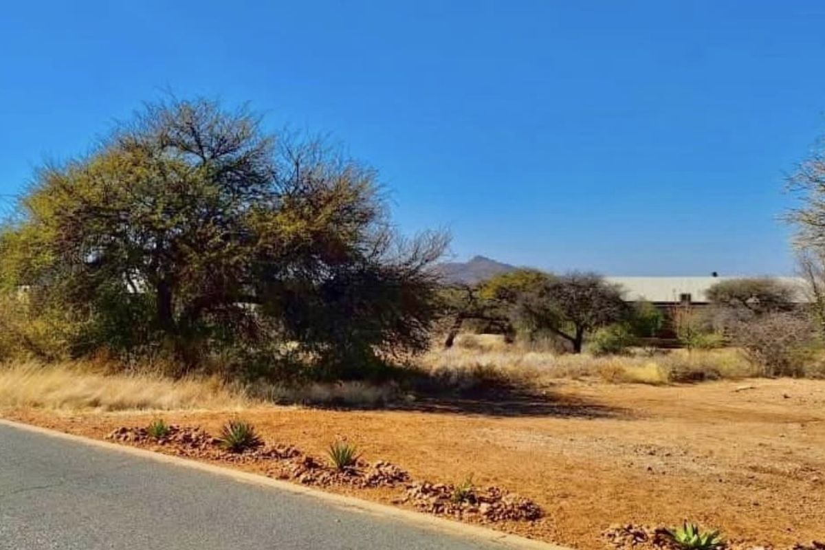 A view of the vacant residential land from the adjacent asphalt road, featuring natural vegetation and a clear view of the surrounding landscape.