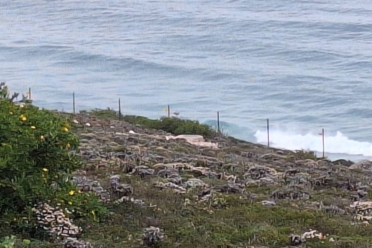 Stunning 3973m2 Vacant Land For Sale in Paradise Coast Eco Estate, Breaker Point - Photo 4