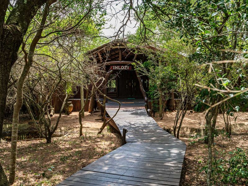 A rustic timber lodge entrance featuring a wooden walkway leading to a thatched structure nestled within a natural wooded setting.