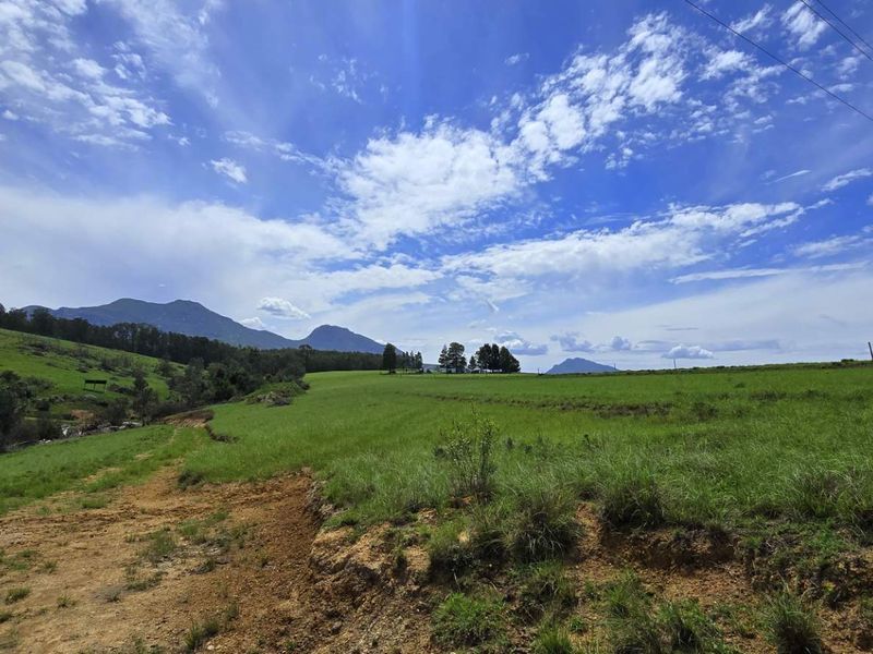 Spectacular Agricultural Opportunity in Ruiterbosch - Photo 4