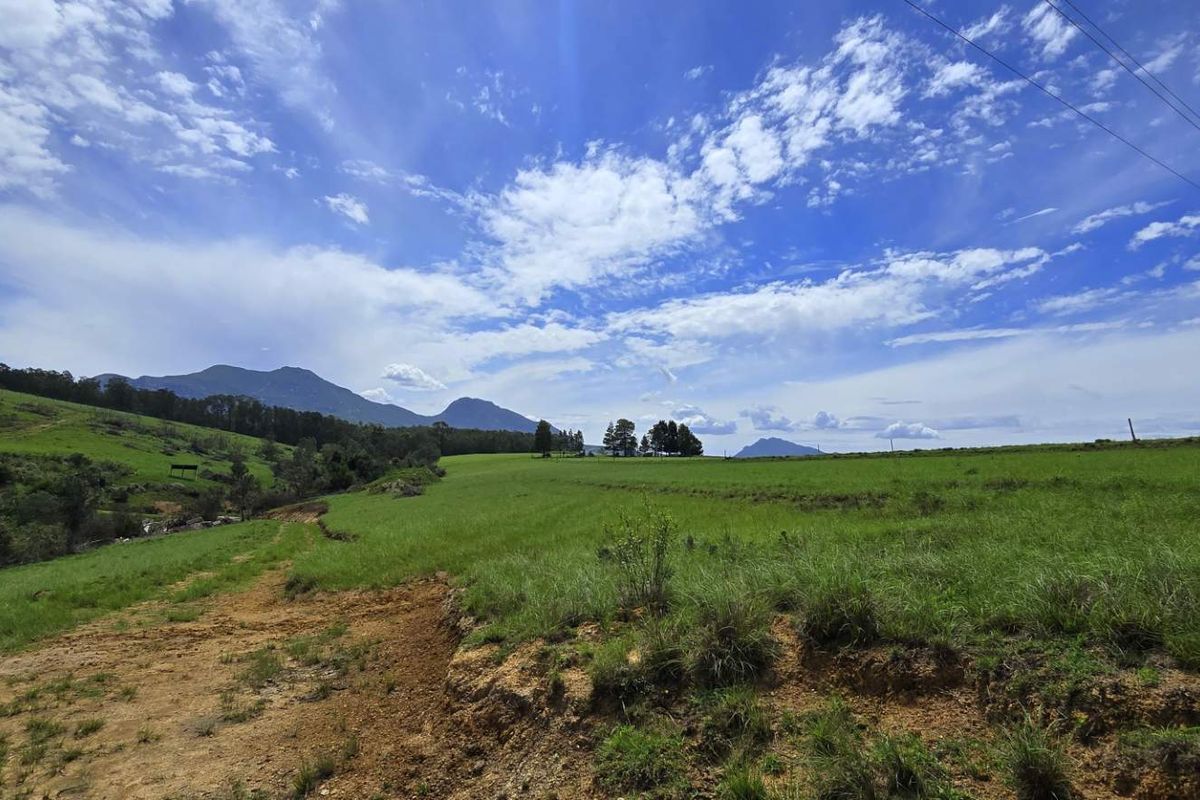 Spectacular Agricultural Opportunity in Ruiterbosch - Photo 4
