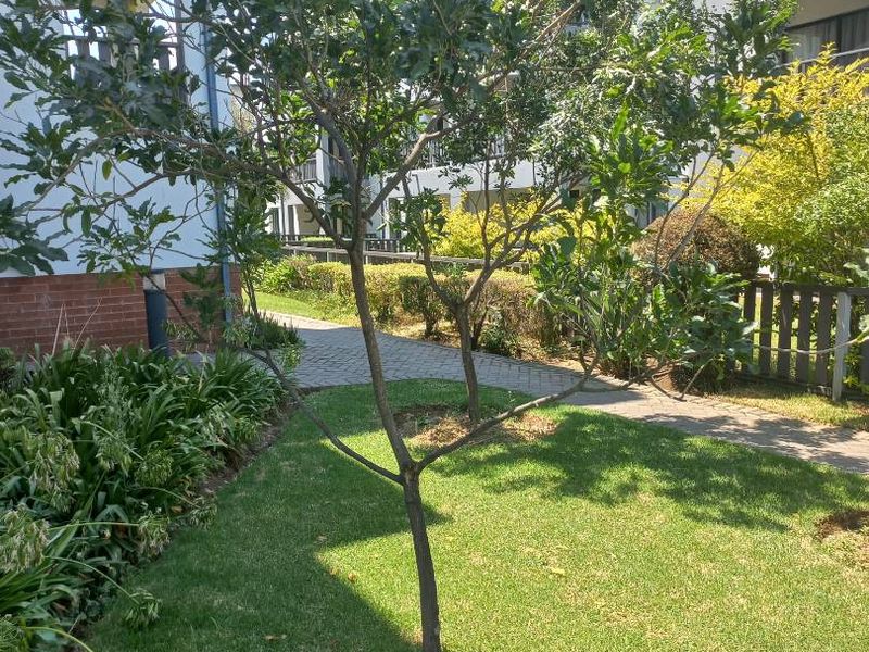 A well-maintained communal garden area featuring a mature tree, manicured lawn, and paved pathways between apartment building blocks.