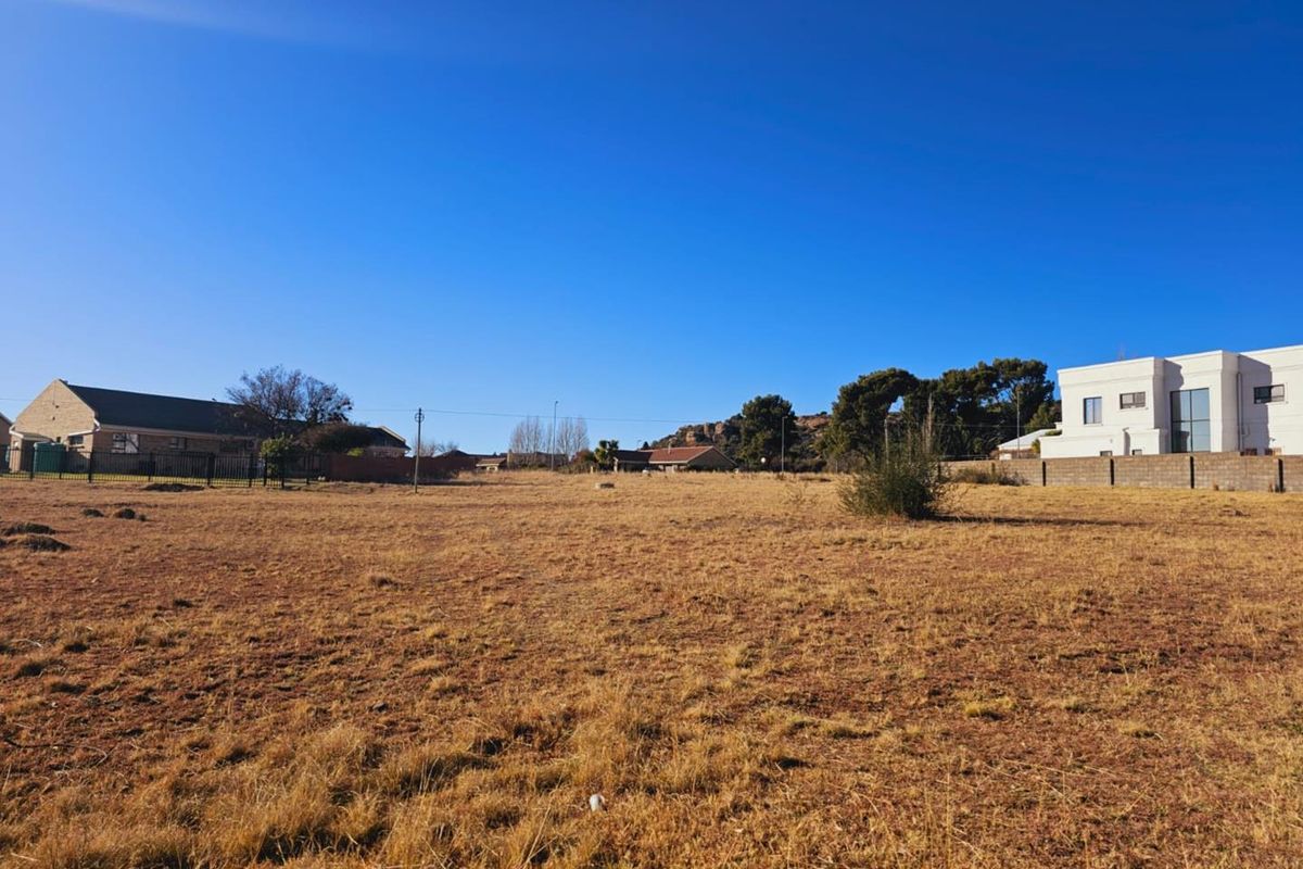 **Prime Vacant Land in New Development Area – Ladybrand** - Photo 5