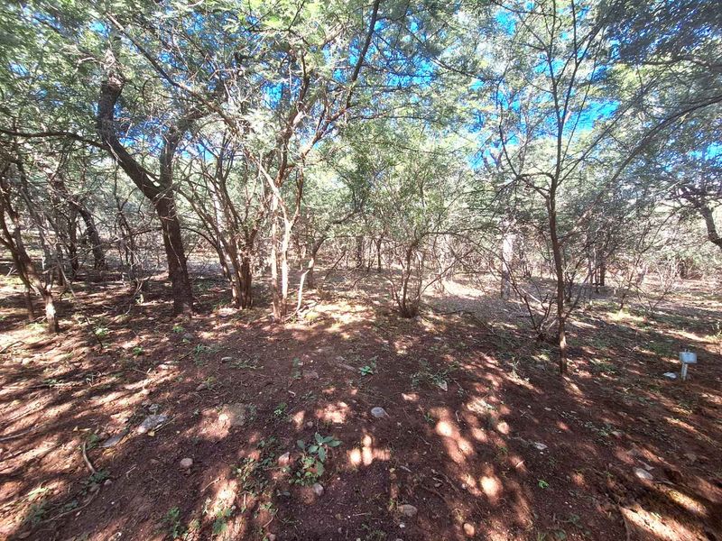 460m2 Stand in Leeupoort - Natures Perfect Canvas - Photo 5